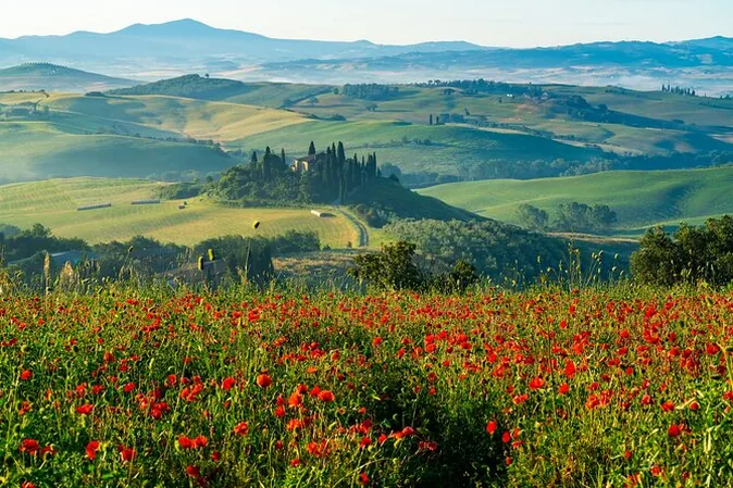 Excursión a la Toscana: Montepulciano, Pienza y almuerzo con vino